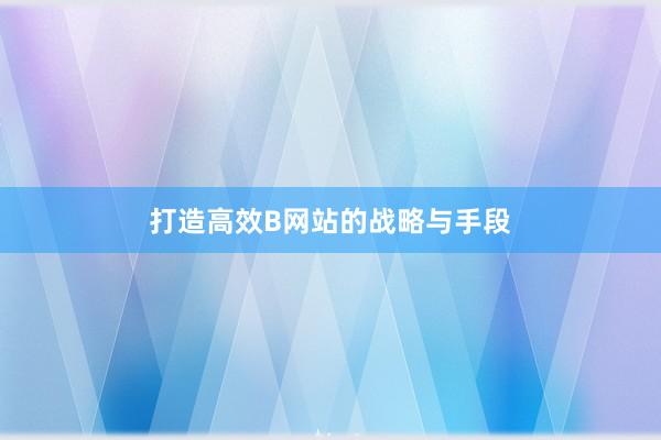 打造高效B网站的战略与手段