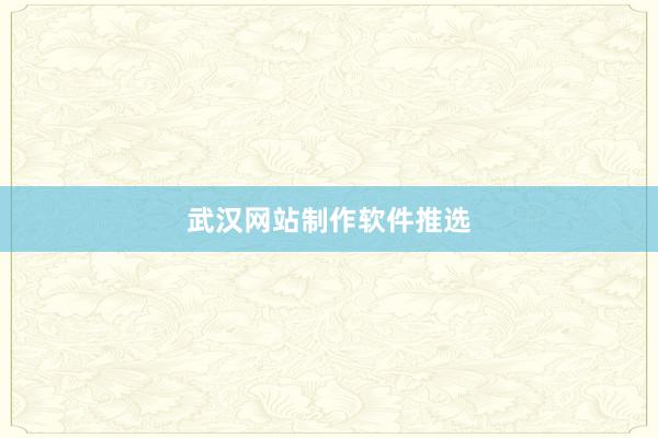 武汉网站制作软件推选