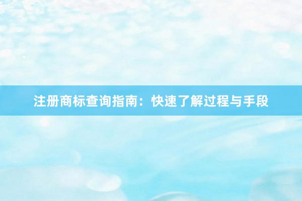 注册商标查询指南：快速了解过程与手段